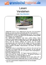 Löffelhund - Sachtext.pdf